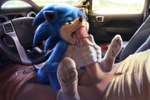 anthro balls belt big_feet big_penis black_nose blue_body blue_fur bodily_fluids bottomwear bottomwear_down car clothed clothed_sex clothing cum cum_drip cum_drool cum_in_mouth cum_inside cum_on_tongue dashboard day depth_of_field detailed_background detailed_fur dirty dirty_clothing dirty_socks dripping duo ejaculation erection faceless_character faceless_human faceless_male feet fellatio footwear fur genital_fluids genitals glistening glistening_eyes gloves green_eyes half-closed_eyes handjob handwear human_on_anthro humanoid_genitalia humanoid_penis inside_car interspecies larger_male licking long_penis male male/male male_focus male_on_anthro male_on_human mostly_nude narrowed_eyes on_lap open_belt open_mouth oral pants pants_down partially_clothed penile penis penis_grab penis_lick pubes realistic reclining reflection road roadside sex sex_in_car shoes sitting sitting_on_lap size_difference smaller_male socks soles solo_focus spread_legs spreading steering_wheel sunny tan_body tan_fur toes tongue tongue_out torn_clothing torn_footwear torn_socks two-handed_handjob vehicle white_clothing white_footwear white_gloves white_handwear white_socks zenthetiger sega sonic_the_hedgehog_(film) sonic_the_hedgehog_(series) sonic_the_hedgehog eulipotyphlan hedgehog human mammal detailed digital_media_(artwork) digital_painting_(artwork)