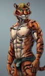 5_fingers abs anthro athletic biceps biped black_body black_fur blonde_hair briefs bulge claws clothed clothing fingers fur gradient_background green_eyes grin hair looking_at_viewer male markings muscular muscular_anthro nipples orange_body orange_fur pecs pink_nose pose simple_background smile solo standing stripes topless underwear whiskers white_body white_fur bleakcat felid mammal pantherine tiger 2013