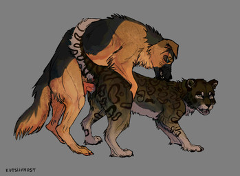 duo female female_penetrated feral feral_on_feral feral_penetrated genitals interspecies knot male male/female male_penetrating male_penetrating_female penetration penis sex tail vaginal vaginal_penetration kutsiihvost canid canine canis domestic_dog felid german_shepherd herding_dog leopard mammal pantherine pastoral_dog snow_leopard hi_res