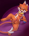 bed buttplug female furniture genitals looking_at_viewer plug_(sex_toy) pussy sex_toy solo spreading tongue tongue_out coffeefly nintendo pokemon crumb_(buizel) buizel generation_4_pokemon pokemon_(species) hi_res