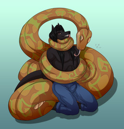 anthro asphyxiation black_hair bulge clothing coiling duo erection fangs hair male peril red_eyes serpentine snuff spots strangling teeth tongue silvergrin gerys kalisster_ssin canid canine canis jackal mammal python reptile scalie snake vampire 2017 hi_res signature