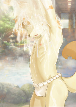 anthro asian_clothing bathing black_nose bulge butt clothed clothing east_asian_architecture east_asian_clothing fluffy fluffy_tail fundoshi fundoshi_only fur japanese_clothing kemono male nipples obscured_eyes outside pointy_ears pond rokushaku_fundoshi solo tail tan_body tan_fur topless underwear underwear_only wet white_body white_fur young young_anthro young_male maplessssss_(artist) canid canine mammal absurd_res hi_res