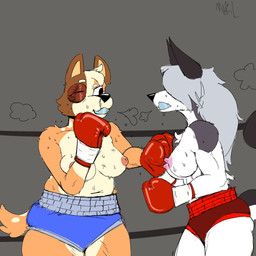 anthro bodily_fluids bottomwear boxing boxing_gloves breath bruised bruised_eye clothing duo female fight fighting_ring handwear hotpants mouthguard muscular muscular_female nipples obscured_eyes shorts simple_background slightly_chubby sport sweat fellowthewulf bluey_(series) hellaverse helluva_boss mythology chilli_heeler loona_(helluva_boss) canid canid_demon canine demon hellhound mammal mythological_canine mythological_creature 1:1 2025 digital_media_(artwork) hi_res