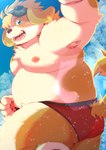 anthro belly blue_eyes butt clothing kemono male moobs nipples outside overweight overweight_anthro overweight_male solo swimwear dosanco15 lifewonders live_a_hero hisaki_(live_a_hero) canid canine canis domestic_dog mammal 2021 hi_res