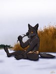 adolescent anthro black_body black_fur bottomwear clothed clothing fur male outside paws shorts solo topless young vellum geri_bristle canid canine canis mammal wolf 3:4 hi_res