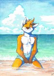 anthro beach brown_body brown_ears brown_eyebrows brown_fur brown_hands brown_nose chest_tuft clothing cloud eyebrows eyes_closed fur kneeling male multicolored_body multicolored_fur orange_body orange_fur outside sand sea sky smile solo swimming_trunks swimwear tuft water whiskers white_body white_fur ango76 canid canine fox mammal 2019 hi_res