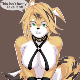 angry anthro areola bdsm bondage bound breasts collar cuff_(restraint) female fur good_girl hands_tied restraints ribbon_bondage ribbons simple_background soft_bondage solo tail white_body white_fur yellow_body gumongo hoyoverse mihoyo zenless_zone_zero pulchra_fellini felid feline mammal thiren 1:1 absurd_res hi_res