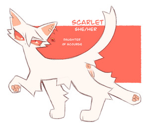 anus bangs ear_piercing eyelashes female feral fur genitals hair pawpads piercing pink_pawpads raised_tail red_eyes solo tail tail_anus vulva white_body white_fur white_hair clockstops3am conditional_dnp warriors_(book_series) fan_character domestic_cat felid feline felis mammal model_sheet