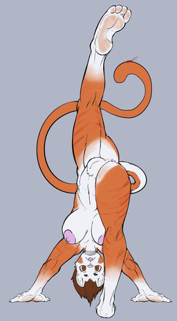 anthro athletic breasts feet female fur genitals nipples orange_body orange_fur paws solo tail tongue vulva simpleesteban animal_humanoid arthropod blattodean cat_humanoid cockroach felid felid_humanoid feline feline_humanoid humanoid insect mammal mammal_humanoid hi_res
