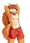 anthro bone boxers_(clothing) canid canine canis clothing cyberconnect2 domestic_dog fur hi_res little_tail_bronx male mammal muscular muscular_anthro muscular_male orange_body orange_fur red_savarin solatorobo solo soonico spitz underwear