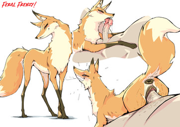 animal_genitalia animal_vulva anus balls bestiality blush bodily_fluids butt canine_genitalia canine_vulva duo erection female female_feral female_penetrated feral feral_penetrated fluffy fluffy_tail fur genital_fluids genitals human_on_feral human_penetrating human_penetrating_feral interspecies licking male male/female male_human male_on_feral male_penetrating male_penetrating_female nude on_bottom on_top open_mouth oral penetration penile penile_penetration penis penis_in_vagina penis_lick raised_tail reverse_cowgirl_position saliva sex simple_background tail tail_anus teeth tongue vaginal vaginal_penetration vulva white_background etheross feral_frenzy nirah_(feral_frenzy) canid canine canis fox human mammal absurd_res digital_media_(artwork) hi_res