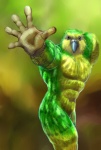 abs anthro beak biceps biped black_eyes feathers green_body male muscular muscular_anthro muscular_male nude pecs pose solo standing yellow_body gweek avian bird kakapo parrot strigopoid