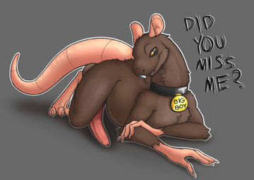 3_toes 4_fingers all_fours animal_genitalia animal_penis arm_tuft asking asking_viewer balls bedroom_eyes big_penis big_tail brown_body brown_fur buckteeth butt chest_tuft claws closed_smile collar collar_only countershade_fur countershade_neck countershade_torso countershading dialogue digitigrade elbow_tuft erection eyebrows feet feral finger_claws fingers fur genitals grey_background half-closed_eyes hand_on_elbow long_penis looking_at_viewer lying male medallion mouth_closed narrowed_eyes naughty_face neck_tuft nude on_front open_mouth penis pink_body pink_penis pink_skin pupils quadruped question question_mark raised_eyebrow rat_tail rodent_penis seductive simple_background smile smirk solo star_pupils tail talking_to_viewer tapering_penis teeth text thick_penis thick_tail toe_claws toes tongue tuft unusual_pupils urethra yellow_sclera emenius ratt mammal murid murine rat rodent digital_media_(artwork) english_text hi_res