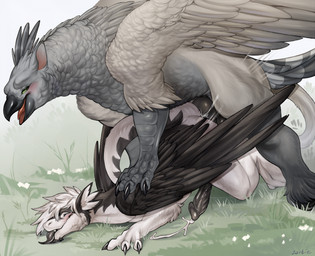 anal anal_penetration beak big_knot big_penis black_penis claws doggystyle duo erection feathered_wings feathers feral from_behind_position fur genitals green_eyes grey_body grey_feathers interspecies knot looking_pleasured male male/male on_grass penetration penile penile_penetration penis penis_in_ass quadruped scuted_legs scutes sex tail tail_tuft tongue tongue_out tuft white_body wings zortie mythology arashiin avian dragon furred_dragon furred_scalie gryphon mythological_avian mythological_creature mythological_scalie scalie hi_res