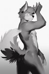 anthro black_nose butt claws embarrassed fluffy fluffy_tail fur looking_at_viewer looking_back male multicolored_body nude pointy_ears raised_tail rear_view shadow solo tail two_tone_body luoluokun517 toothlessfan canid canine canis domestic_dog mammal hi_res