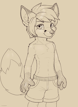 4_fingers anthro bottomwear clothed clothing fingers looking_at_viewer male shorts simple_background solo standing topless young young_anthro young_male jamesfoxbr tycloud canid canine fox mammal digital_media_(artwork) hi_res
