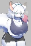 anthro big_breasts blue_eyes blush breasts clothed clothing female fur hair huge_breasts kemono looking_at_viewer nipple_outline ponytail smile solo thick_thighs white_body white_fur white_hair cecily_lin canid canine canis fox mammal absurd_res hi_res