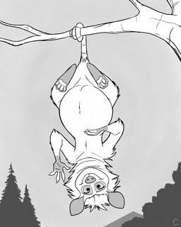 belly big_belly branch feet female feral forest forest_background fur gesture hanging_from_branch hanging_from_tail hanging_upside_down looking_at_viewer mouth_closed nature nature_background navel nude outside paws plant pregnant pregnant_female pregnant_feral prehensile_tail smile smiling_at_viewer soles solo tail tree upside_down waving waving_at_viewer wide_eyed convexpert dreamworks over_the_hedge heather_(over_the_hedge) american_opossum mammal marsupial 2024 hi_res signature