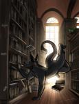 anthro balls book bookshelf facial_hair flaccid floating foreskin fur furniture genitals humanoid_genitalia humanoid_penis levitation library male nude penis solo window bgn galisteo canid canine mammal 2018