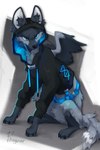 black_body black_fur black_nose blue_eyes blue_pawpads clothed clothing feral fur grey_body grey_fur inner_ear_fluff leg_markings markings pawpads socks_(marking) solo tuft white_body white_fur wings reysi canid canine mammal 2023 2:3 hi_res signature