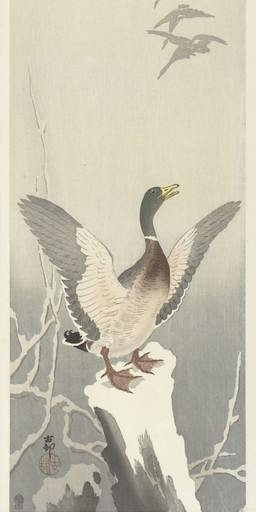ambiguous_feral ambiguous_gender avian_feet beak biped bipedal_feral branch cjk_character feathered_wings feathers feet feral gradient_background membrane_(anatomy) open_beak open_mouth scuted_feet scuted_legs scutes short_tail simple_background snow solo spread_wings standing tail tail_feathers three-quarter_view toes tree_stump webbed_feet wings ohara_koson public_domain ambient_bird anatid anseriform avian bird duck 20th_century absurd_res ancient_art hi_res traditional_media_(artwork)