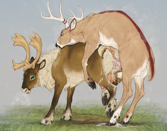anatomically_correct anatomically_correct_genitalia anatomically_correct_penis anatomically_correct_vulva animal_genitalia animal_penis animal_vulva antlers anus blue_eyes bodily_fluids brown_body brown_fur cervine_genitalia cervine_penis cervine_vulva cloven_hooves cum cum_in_vagina cum_inside duo eyelashes female female_penetrated feral feral_on_feral feral_penetrated feral_penetrating feral_penetrating_feral fur genital_fluids genitals hooves horn long_eyelashes male male/female male_penetrating male_penetrating_female penetration penile penile_penetration penis penis_in_vagina sex short_tail sweat tail teats vaginal vaginal_penetration vulva scarlanya deer mammal new_world_deer reindeer absurd_res hi_res huge_filesize