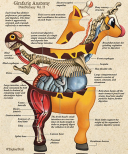 ambiguous_gender anatomical_diagram anatomical_study anatomy anatomy_chart anthro blue_eyes bone brain brown_background brown_body chart cross_section guts hooves intestines organs paper_background pupils quadruped rib_cage side_view simple_background skeleton snout solo stomach tail teeth text twitter_handle unguligrade white_sclera x-ray_view yellow_body christopher_stoll nintendo pokemon pokenatomy generation_2_pokemon girafarig pokemon_(species) 2022 artist_name copyright_name digital_drawing_(artwork) digital_media_(artwork) english_text exploded-view_drawing full-length_portrait hi_res portrait technical_illustration