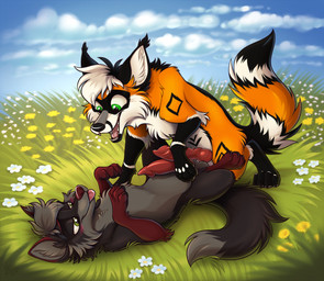 animal_genitalia animal_penis balls canine_genitalia canine_penis duo erection eye_contact feral feral_on_feral flower frottage fur genitals grass hair half-closed_eyes knot knotted_penis looking_at_another lying male male/male multicolored_body multicolored_fur narrowed_eyes on_back on_ground open_mouth outside penile penis penises_touching plant quadruped sex short_hair sky smile smiling_at_another smiling_at_each_other snout tail tongue tongue_out mimi-fox canid canine canis fox mammal wolf