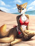 abs anthro beach bikini blue_eyes breasts brown_body brown_fur cheek_tuft cleavage clothed clothing cloud collarbone curvy_figure eyebrows eyelashes facial_tuft female fluffy frilly frilly_clothing fur gingham hand_on_leg happy orange_body orange_ears orange_fur pawpads paws pose resting sand scar sea seaside shadow smile smiling_at_viewer solo summer sunbathing swimwear thick_eyelashes thick_thighs tuft two-piece_swimsuit water wave wide_hips ruolina legend_of_ahya murana_wolford_(darkflame-wolf) canid canine canis mammal wolf pinup