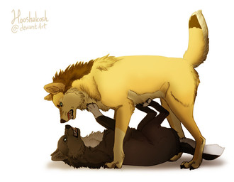 ambiguous_gender black_body black_fur duo feral feralized fight fluffy fur growling realistic_feral simple_background standing_over white_background white_body white_fur yellow_body yellow_fur ouivon attack_on_titan erwin_smith levi_ackerman canid canine canis mammal wolf 2014 watermark