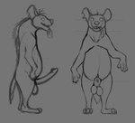 animal_genitalia animal_penis balls erection genitals hyaenid_penis male penis semi-anthro sheath solo standing tongue tongue_out fuzzytubething disney the_lion_king ed_(the_lion_king) hi_res