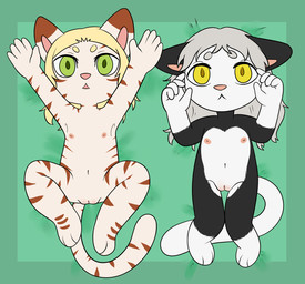 anthro bed black_body black_fur clitoris countershading duo female flat_chested fur furniture genitals green_eyes navel nipples nude orange_body orange_fur spread_legs spreading striped_body striped_fur stripes tail thin_tail toddler vulva white_body white_fur yellow_eyes young young_anthro cubcore jynx_prowler sara_prowler domestic_cat felid feline felis mammal hi_res