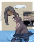 anthro biped black_nose blush bodily_fluids duo group male overweight overweight_male real sitting slightly_chubby sweat text underwater water said_the_saisio lizard mammal monitor_lizard mustelid otter reptile scalie 2021 absurd_res english_text hi_res