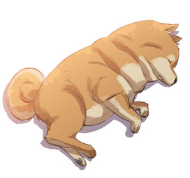 ambiguous_gender countershading curled_tail eyes_closed feral fur nude orange_body orange_fur pawpads paws simple_background sleeping snout solo tail white_background bow_(artist) canid canine canis domestic_dog mammal shiba_inu spitz 2025