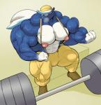 abs anthro biceps big_muscles bodily_fluids clothed clothing flat_cap hat headgear headwear huge_muscles hyper hyper_muscles male muscular muscular_anthro muscular_male nipples pecs solo sweat topless weights guzreuef animal_crossing nintendo kicks_(animal_crossing) mammal mephitid skunk hi_res