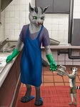 anthro apron bib biped bottomwear clothing cutlery detailed_background digitigrade dishes duo flip_flops footwear fur gloves green_clothing green_eyes green_gloves green_handwear grey_body grey_fur handwear holding_object inside kitchen kitchen_utensils larger_anthro larger_male looking_at_another male sandals shirt shoes shorts size_difference smaller_anthro smaller_male spoon standing t-shirt tools topwear washing_dishes work_gloves lemurlemurovich nintendo pokemon generation_3_pokemon lemur mammal mightyena pokemon_(species) primate strepsirrhine 2022 artist_name hi_res