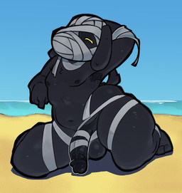 anthro balls bandage beach black_body black_fur flaccid fur genitals humanoid_genitalia humanoid_penis male mummy_wrappings navel penis sea slightly_chubby solo water tomate_moza animal_crossing nintendo lucky_(animal_crossing) canid canine canis domestic_dog mammal absurd_res hi_res