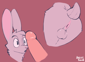 anthro anus backsack balls butt disembodied_head disembodied_penis ears_up fur genitals looking_at_genitalia looking_at_penis male penis pink_anus short_tail simple_background solo surprised tail tuft white_body white_fur arctic_song lagomorph leporid mammal rabbit hi_res