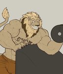 2017 abs absurd_res anthro barazoku bicep_curl biceps big_biceps bodily_fluids body_writing bulge clothed clothing deltoids dumbbell english_text exercise felid grey_background hi_res lion male mammal mane muscular muscular_anthro muscular_male navel nightterror nipples pantherine pecs scar simple_background solo sweat text text_on_body topless topless_male vein veiny_muscles weightlifting weights workout writing_on_chest