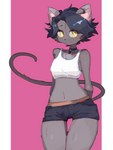 anthro athletic_wear black_hair bottomwear bra choker clothed clothing female female_anthro fur grey_body grey_fur hair hands_behind_back hotpants jewelry kemono midriff navel necklace pink_background short_hair shorts simple_background solo sports_bra thigh_gap underwear yellow_eyes baburusushi domestic_cat felid feline felis mammal 3:4 hi_res