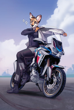 anthro biped bottomwear breasts clothed clothed_anthro clothed_female clothing day female fingers footwear front_view fully_clothed fully_clothed_anthro fully_clothed_female fur hair looking_at_viewer outside pants shoes sitting sky solo topwear whiskers plgdd felid feline mammal serval 2026 digital_drawing_(artwork) digital_media_(artwork) hi_res