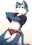 anthro balls_outline blush bodily_fluids bulge clothed clothed_anthro clothed_male clothing clothing_lift detailed_bulge fur genital_outline hair kemono looking_at_viewer male male_anthro navel penis_outline shirt solo sweat sweatdrop t-shirt tail topwear topwear_lift underwear undressing betsuto canid canine canis mammal wolf 2025 digital_media_(artwork) hi_res