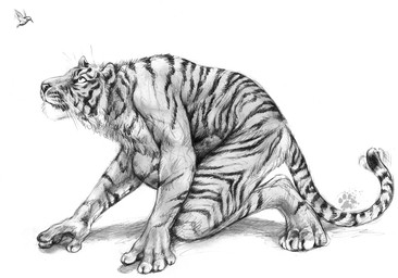 all_fours ambiguous_gender anthro beak biped casual_nudity digitigrade duo eye_contact fur logo looking_at_another male male_anthro nude nude_anthro nude_male paws pose pounce_pose predator/prey realistic side_view simple_background size_difference stripes tail whiskers white_background wings blotch scratches_volume_6 apodiform avian bird felid hummingbird mammal pantherine tiger 2012 artist_logo full-length_portrait greyscale hatching_(art) monochrome portrait shaded soft_shading traditional_media_(artwork)