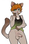 anthro balls blush bottomless bottomless_anthro bottomless_male brown_body brown_fur claws clothed clothing femboy fluffy fluffy_tail foreskin fur fur_markings genitals green_eyes hair highlights_(coloring) long_tail looking_away male markings medium_hair messy_hair orange_hair peeking_penis penis pink_nose pubes pupils raised_clothing raised_topwear shirt shirt_only simple_background slit_pupils solo spots spotted_markings tail tan_body tan_fur tank_top tank_top_only topwear topwear_only white_background lezified sorrel_(lezified) domestic_cat felid feline felis mammal 2024 artist_name colored digital_drawing_(artwork) digital_media_(artwork) hi_res