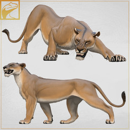 bared_teeth black_gums black_lips black_nose carpal_pad countershading crouching female feral fur lips logo looking_at_viewer muscular pose realistic_feral simple_background solo tail tail_tuft tan_body tan_fur teeth thick_bottom_lip tuft frederic_wierum fredthedinosaurman disney the_lion_king zira_(the_lion_king) felid lion mammal pantherine 1:1 2024 artist_logo hi_res