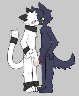 accessory anthro arm_tuft biped black_ears blep blush cat_tail cheek_tuft chest_tuft claws closed_smile dog_tail duo elbow_tuft eye_contact face_to_face facial_tuft finger_claws foreskin fur fur_tuft furgonomics genitals glans green_eyes grey_background grey_body grey_fur half-erect head_tuft humanoid_genitalia humanoid_penis interspecies looking_at_another male male/male mouth_closed nude nude_anthro nude_male partially_retracted_foreskin penis plantigrade red_eyes shoulder_tuft side_view simple_background slim slim_anthro slim_male smile standing tail tail_accessory tongue tongue_out tuft vein veiny_penis white_body white_fur pizademokttero nifram_logan reggie_(lazycatto) canid canine canis domestic_cat felid feline felis mammal wolf 2026 digital_drawing_(artwork) digital_media_(artwork) hi_res