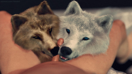 ambiguous_gender ambiguous_on_human bestiality blue_eyes brown_body brown_fur collaborative collaborative_fellatio collaborative_oral collaborative_sex erection faceless_character faceless_male fellatio feral first_person_view fluffy fur genitals grey_body grey_fur group head_in_crotch human_on_feral human_pov humanoid_genitalia humanoid_penis interspecies larger_male licking lying male male/ambiguous male_on_feral male_pov nude oral oral_only penile penis penis_lick realistic_feral sex size_difference smaller_ambiguous spread_legs spreading tail tail_motion tailwag teasing tongue tongue_out yellow_eyes trioami260 canid canine canis human mammal wolf 3d_(artwork) 3d_animation animated digital_media_(artwork) loop widescreen