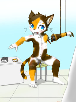 4_fingers 4_toes anthro blue_eyes detachable detachable_arms detachable_penis feet fingers flaccid furniture genitals inner_ear_fluff kemono machine male penis solo stool toes tuft whiskers young young_anthro young_male gqkj6qml7gzztpp domestic_cat felid feline felis mammal robot absurd_res hi_res