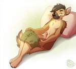 anthro black_nose boxers_(clothing) brown_hair chest_tuft clothed clothing erection genitals green_boxers green_clothing green_eyes green_underwear hair laying_on_pillow looking_at_viewer male partially_clothed paws penis pillow pink_penis simple_background solo topless tuft underwear underwear_down white_background nowandlater spook_(bottlerat) canid canine canis domestic_dog mammal digital_media_(artwork) shaded watermark