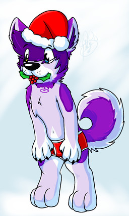 anthro biped black_nose blue_eyes claws digitigrade fur hair heterochromia holly_(plant) inner_ear_fluff male monotone_hair multicolored_body multicolored_fur paws pink_body pink_fur plant purple_body purple_ears purple_fur purple_inner_ear simple_background solo tuft white_body white_ears white_fur yellow_eyes gaokun canid canine canis domestic_dog husky hybrid mammal nordic_sled_dog spitz wolf 2015 3:5 hi_res watermark